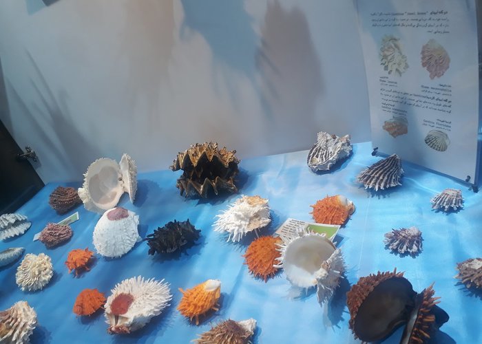 Isfahan Seashell Museum