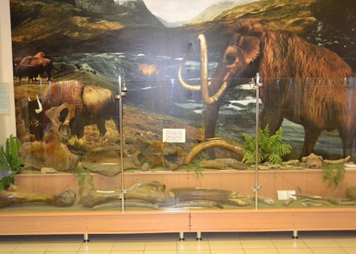 The Kukmor Museum of Local Lore