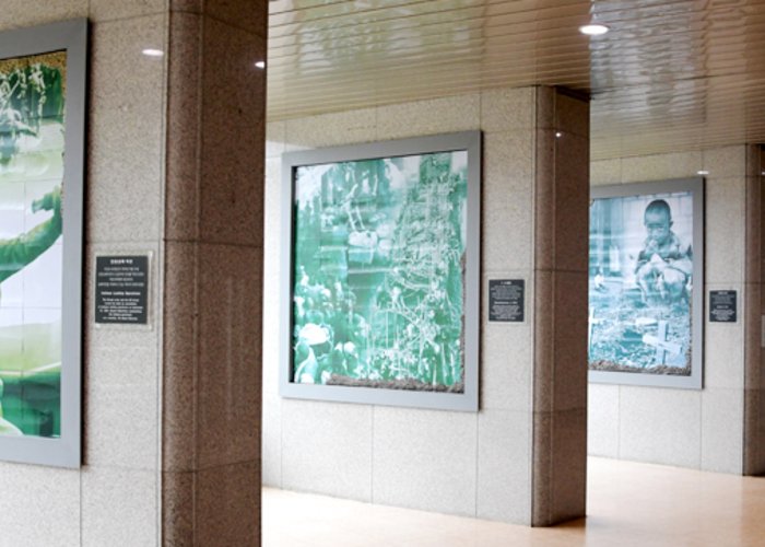 Freedom Protection Peace Museum