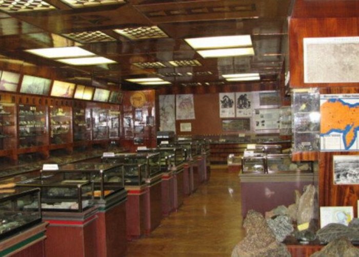 The Natural History Museum