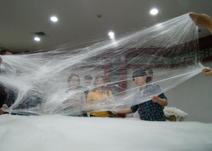 Beijing Dong Wu silk Museum