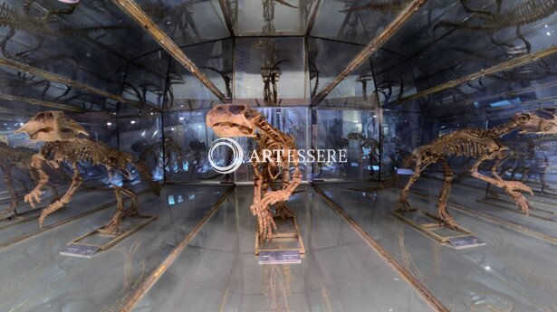 Geological Museum of China