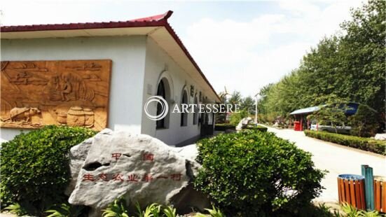 Grape Museum of China