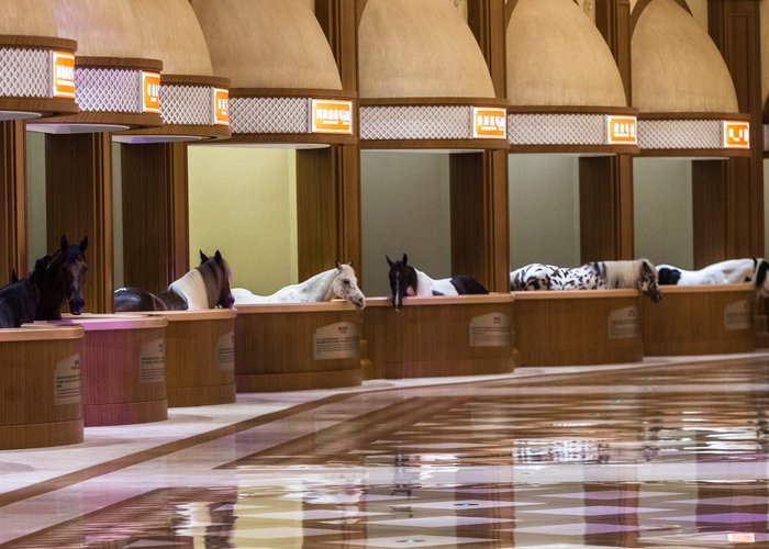 Museum of Horse Culture in China