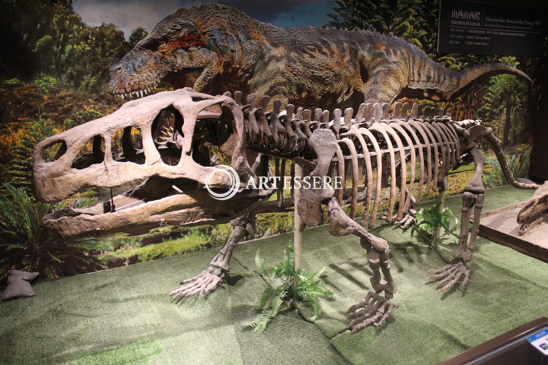 Paleozoological Museum of China