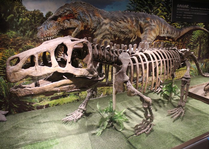 Paleozoological Museum of China