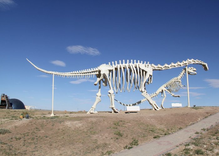 Dinosaur Museum of Erenhot