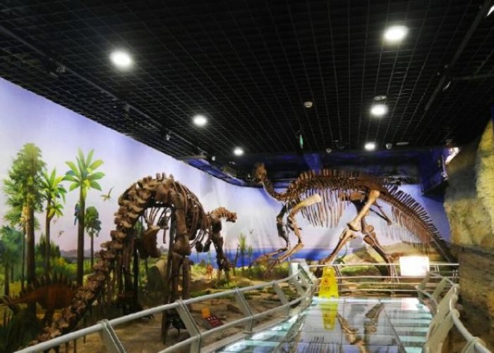 Geological Museum of Heilongjiang