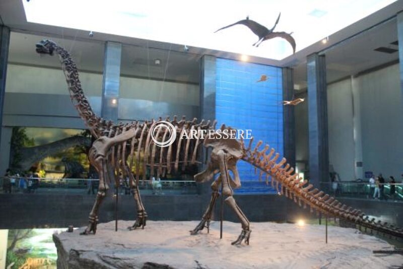 Inner Mongolia Museum