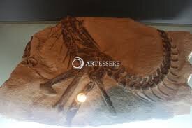 Shenzhou Dinosour Museum