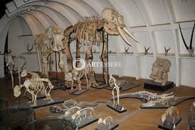 Kunming Museum of Geology School