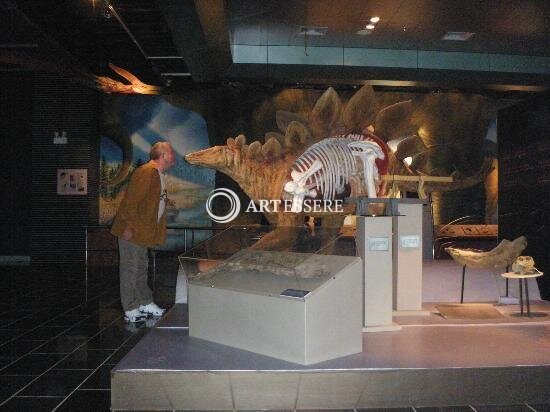 Yunnan Geological Museum