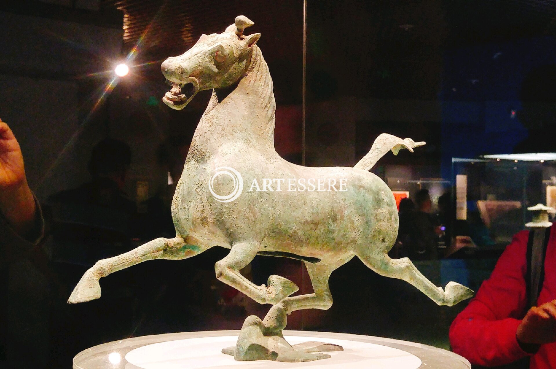 Gansu Provincial Museum