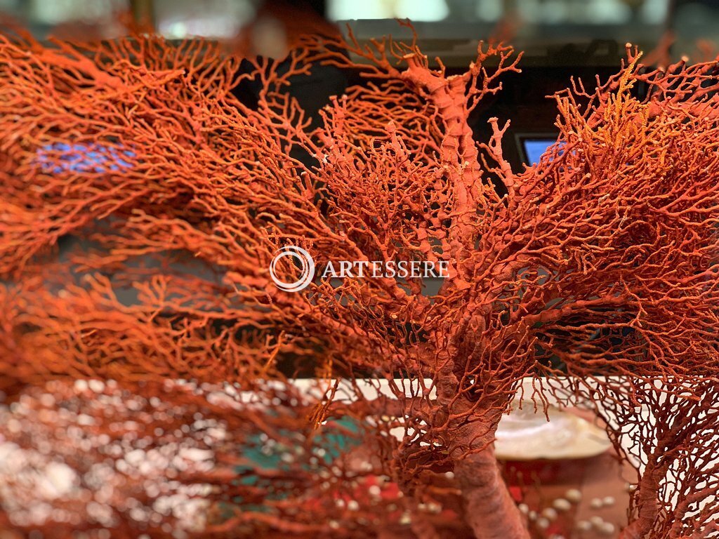 Shanghai Natural History Museum