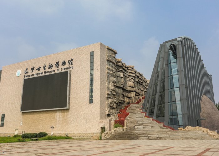 Paleontological Museum of Liaoning