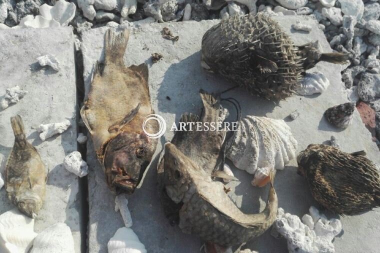 Xisha Maritime Museum