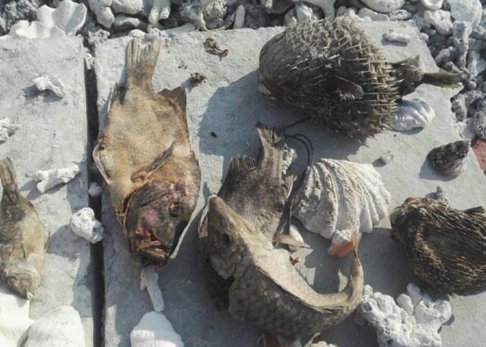 Xisha Maritime Museum