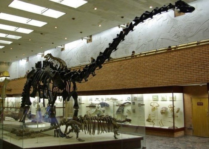 The Moscow Paleontological Museum of Orlov Y.A.