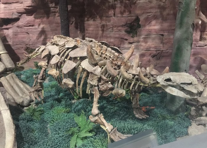 Henan Geological Museum