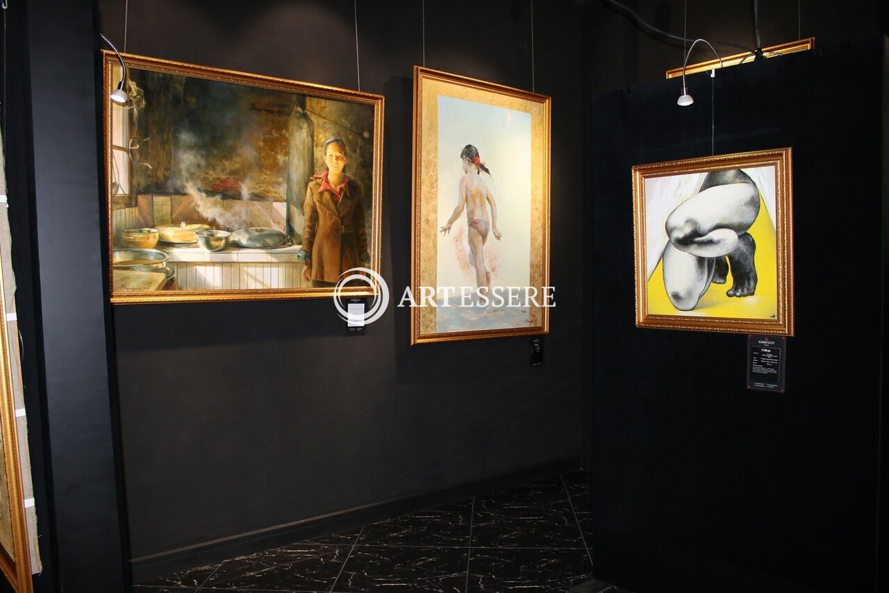 The Art Rohini Gallery