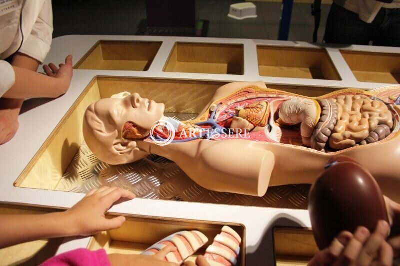 Museum of Human Living Systems