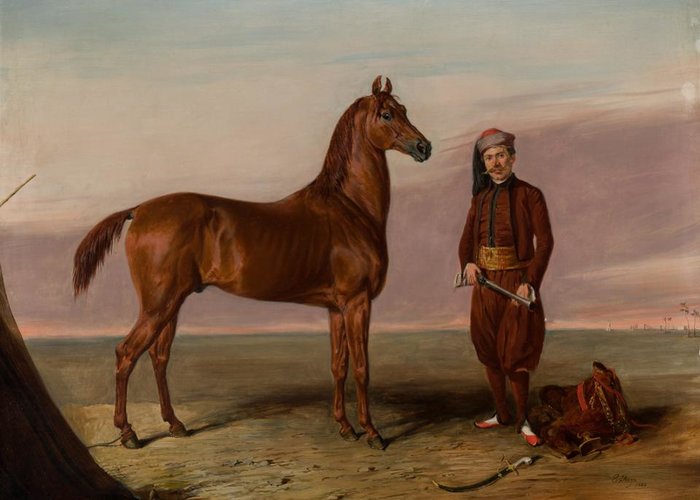 The Scientific and Art Museum of Horse Breeding