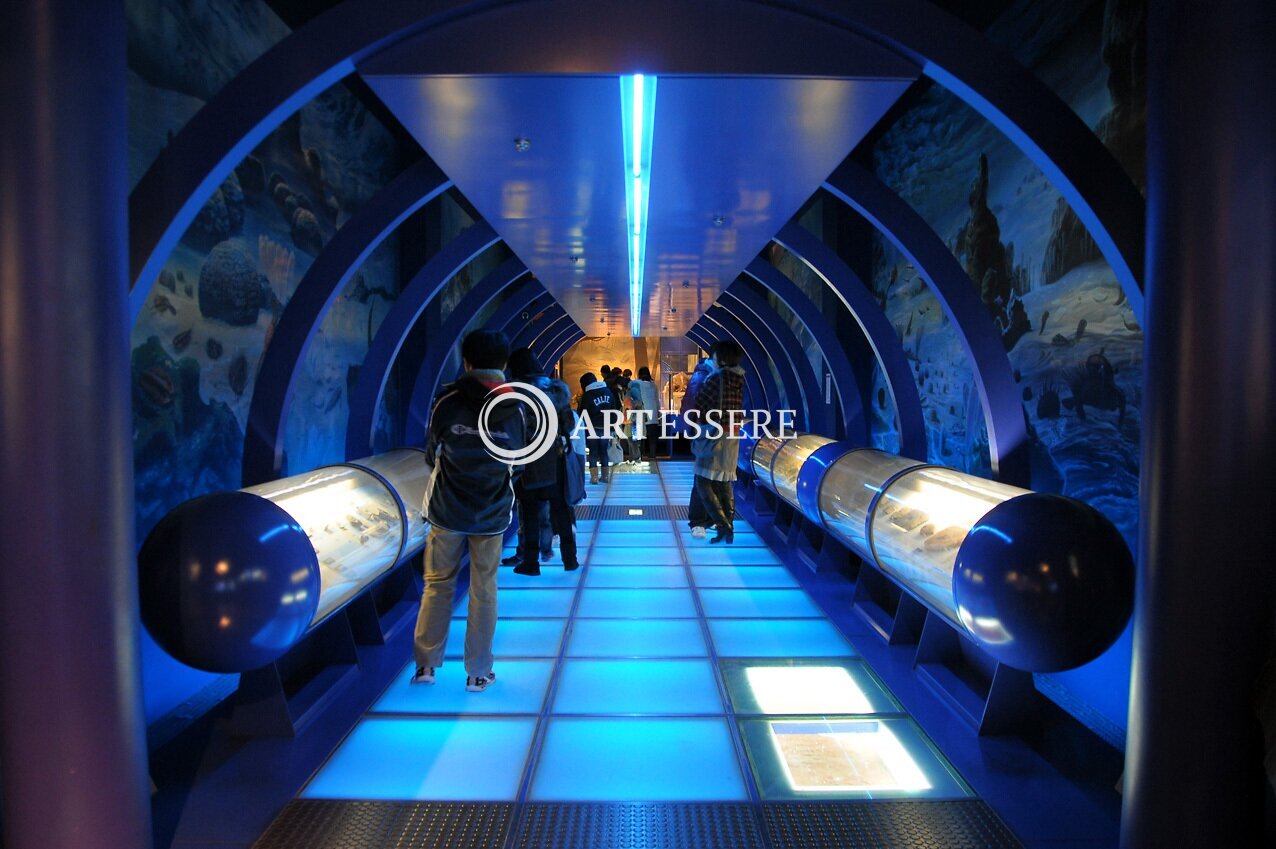 Museum Park Ibaraki Nature Museum