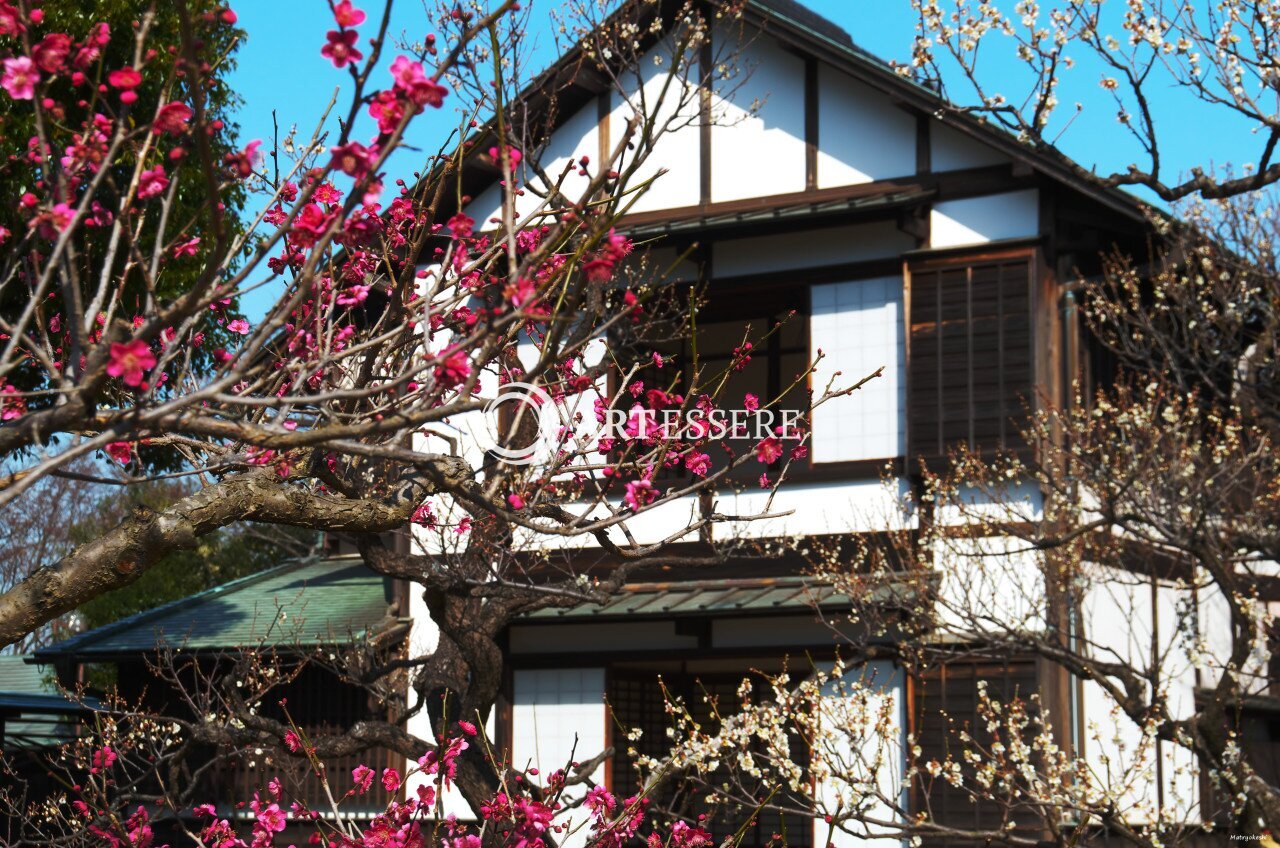 The Kyōdo-no-Mori Museum