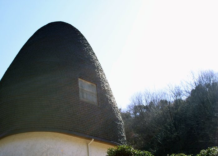 Nemunoki Child Museum