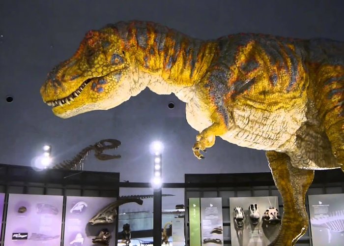 Fukui Prefectural Dinosaur Museum