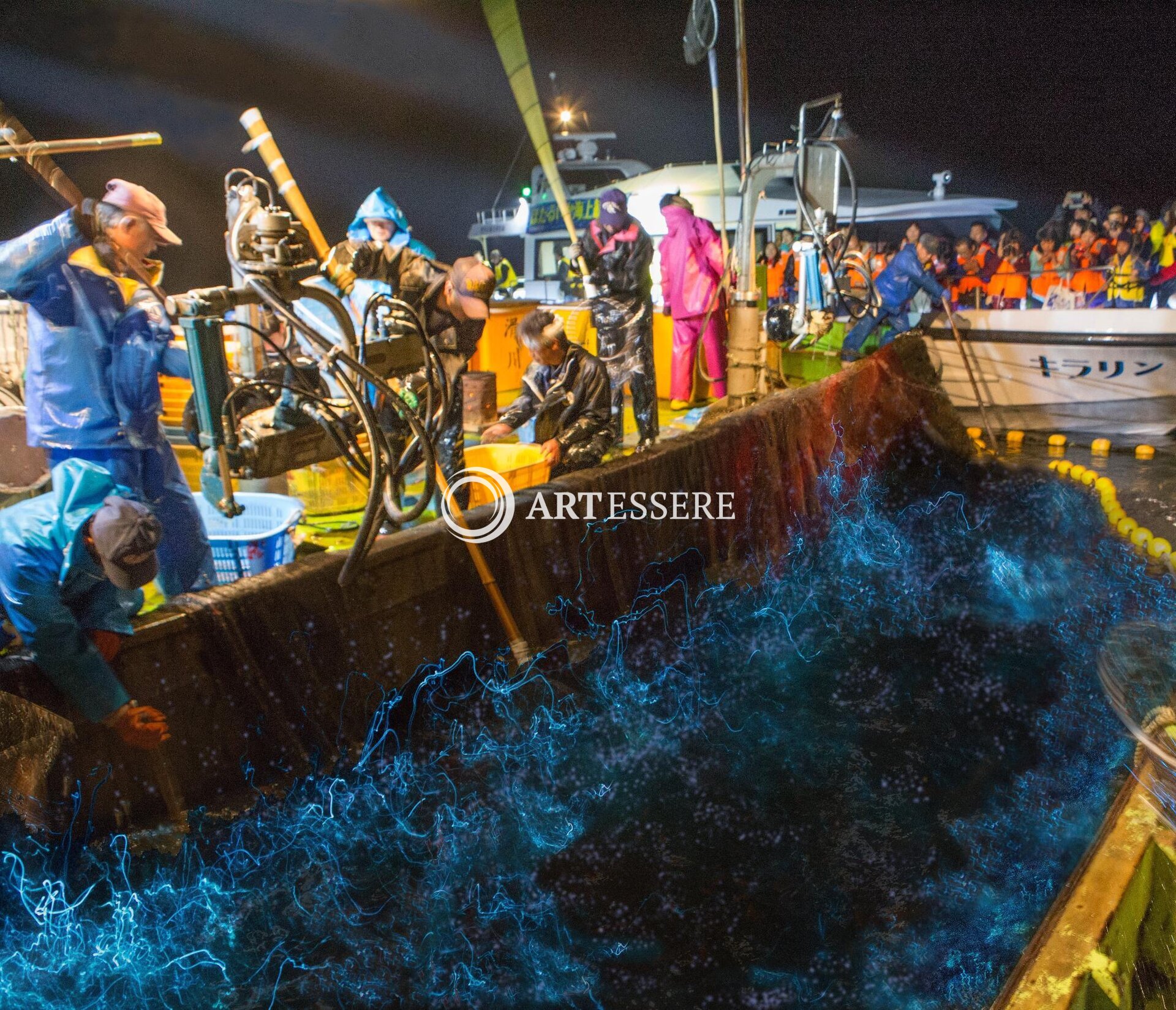 Firefly Squid Museum