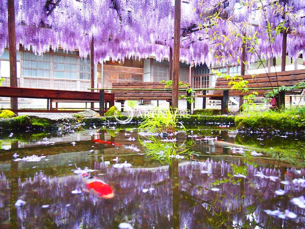 Northern Culture Museum