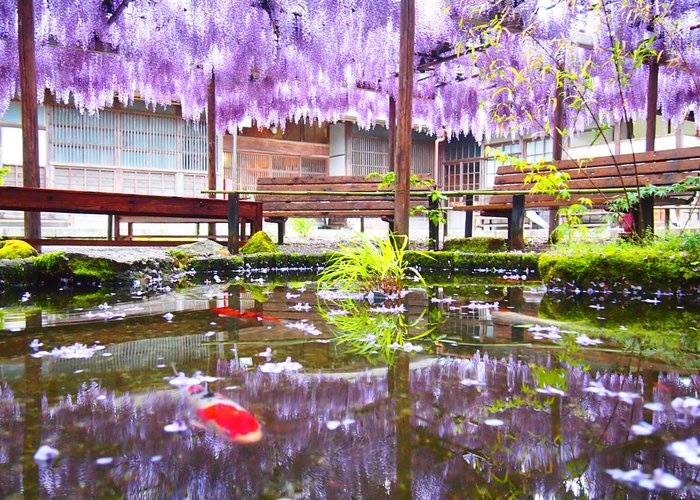 Northern Culture Museum