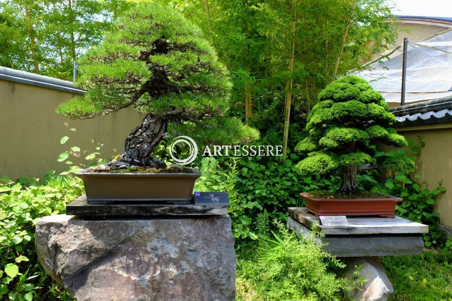 Omiya Bonsai Art Museum, Saitama
