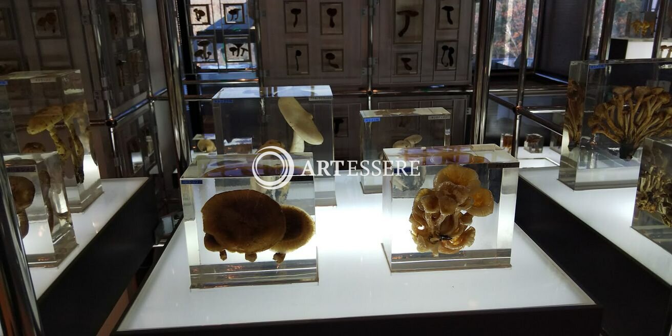 3M Sendai Science Museum