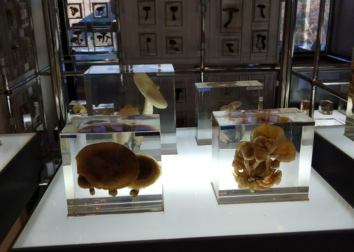 3M Sendai Science Museum