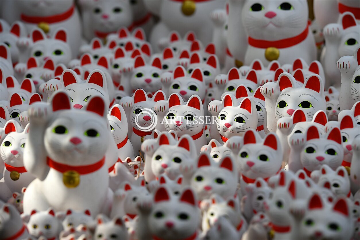 Maneki-Neko Museum