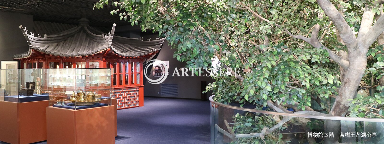 Tea Museum, Shizuoka