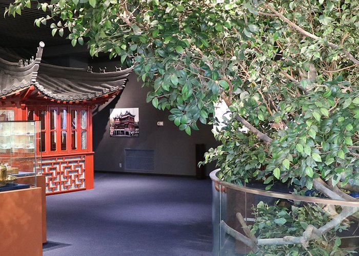 Tea Museum, Shizuoka