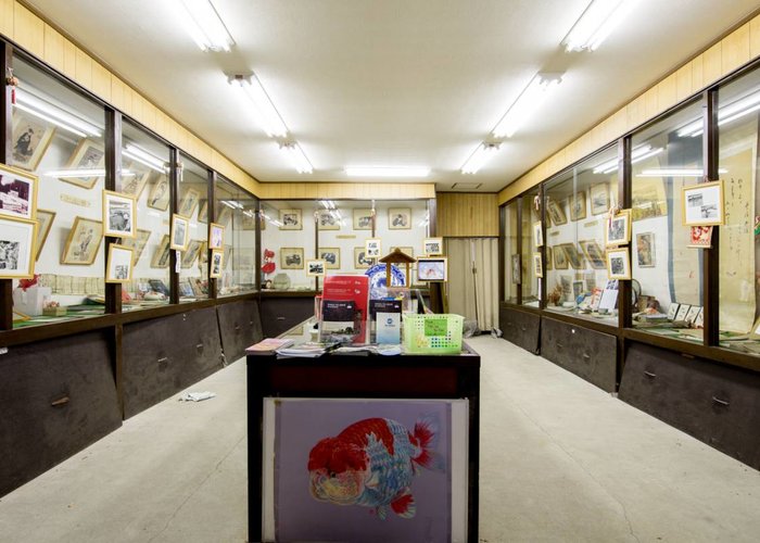 The Koriyama Goldfish Museum
