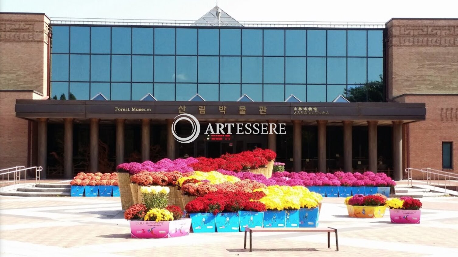 Gangwondo Forest Museum