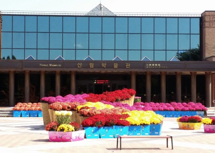 Gangwondo Forest Museum