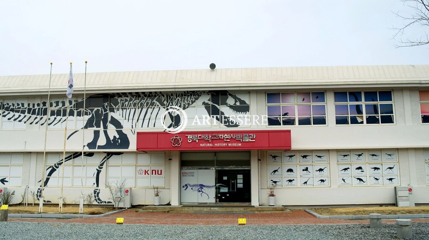 Kyungpook National University Natural History Museum