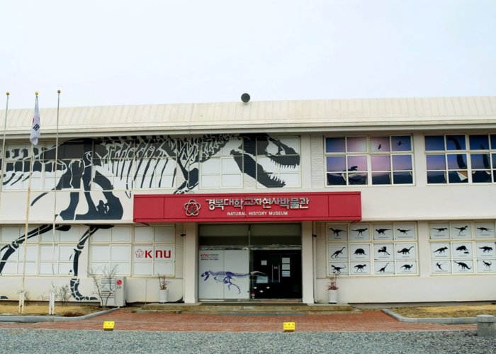 Kyungpook National University Natural History Museum