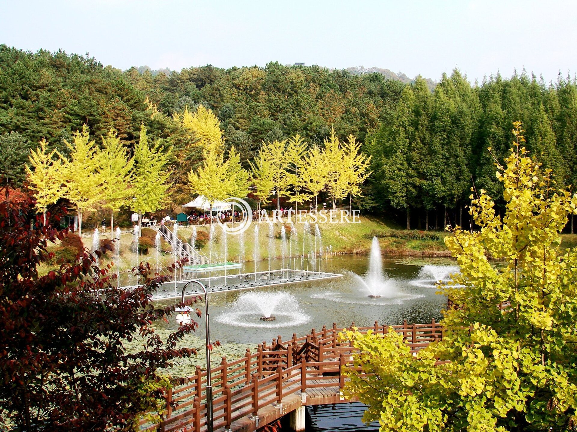 Chungbuk Forest Sience Museum