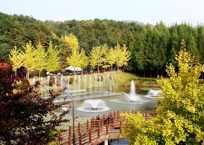 Chungbuk Forest Sience Museum