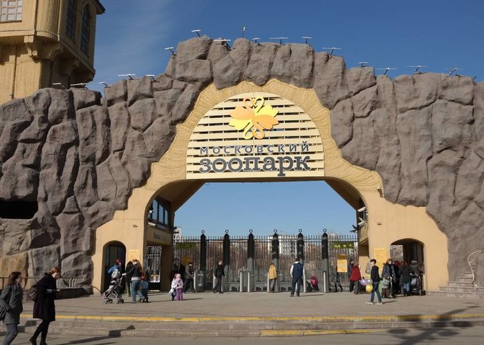 The Museum of Zoo History