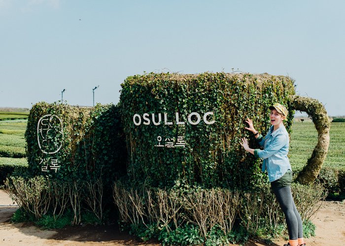 O′Sulloc Tea Museum