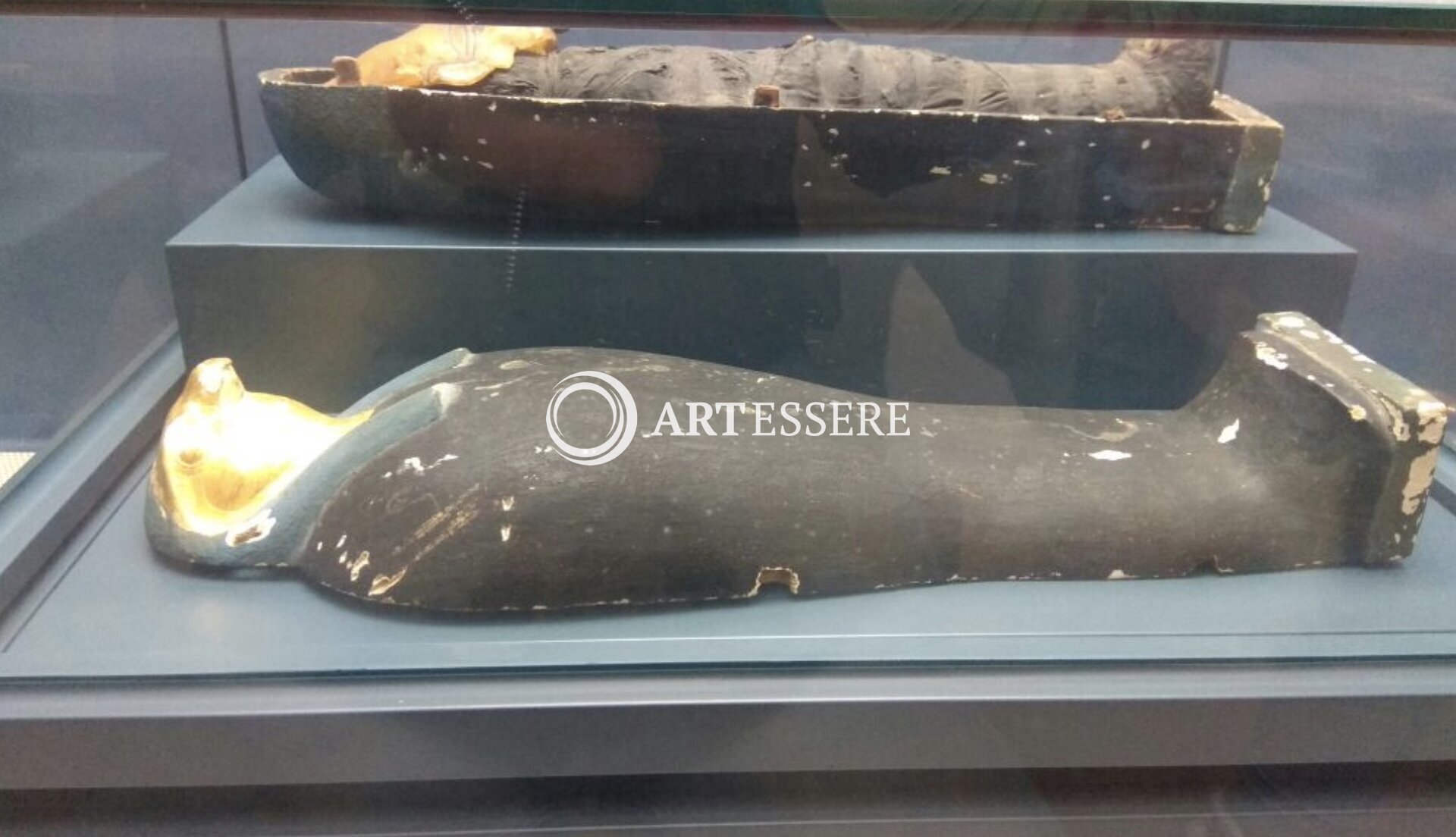 Abraham Park Kenneth Vine Collection Museum