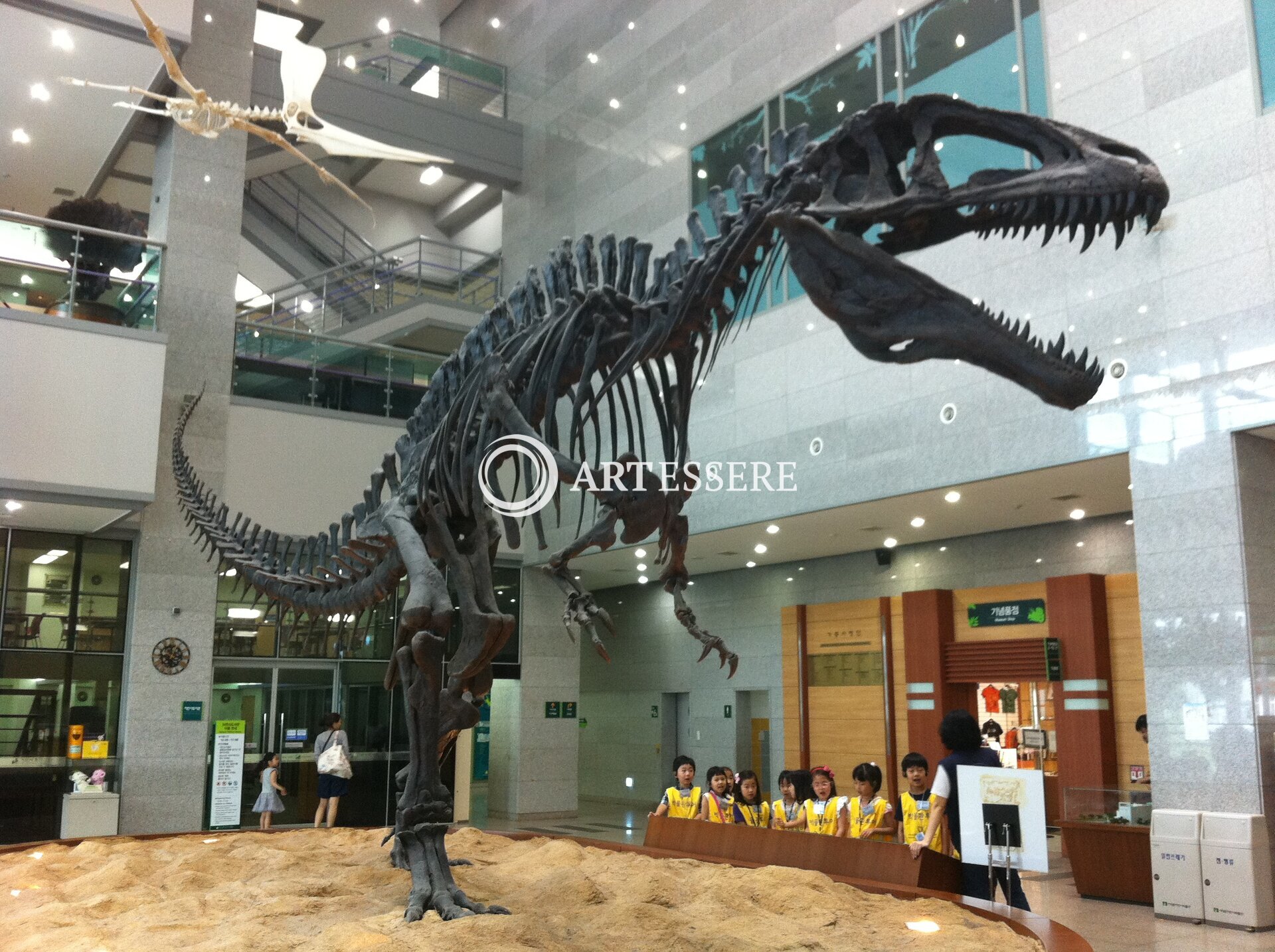 Seodaemun Museum of Natural History
